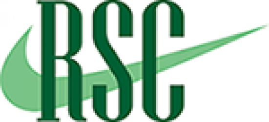 RightStroke Consulting Logo